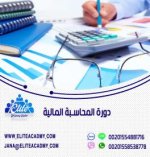 دورة المحاسبة المالية pic.jpg